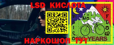 индика Нальчик