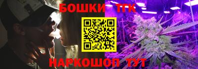 индика Нальчик