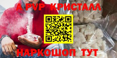 индика Нальчик