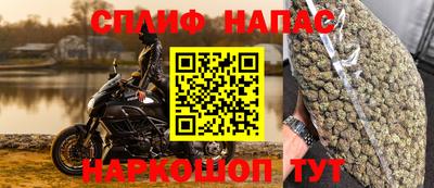 индика Нальчик