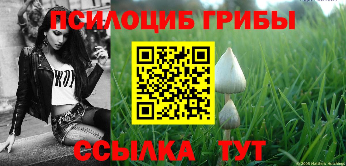 Галлюциногенные грибы прущие грибы Ялта