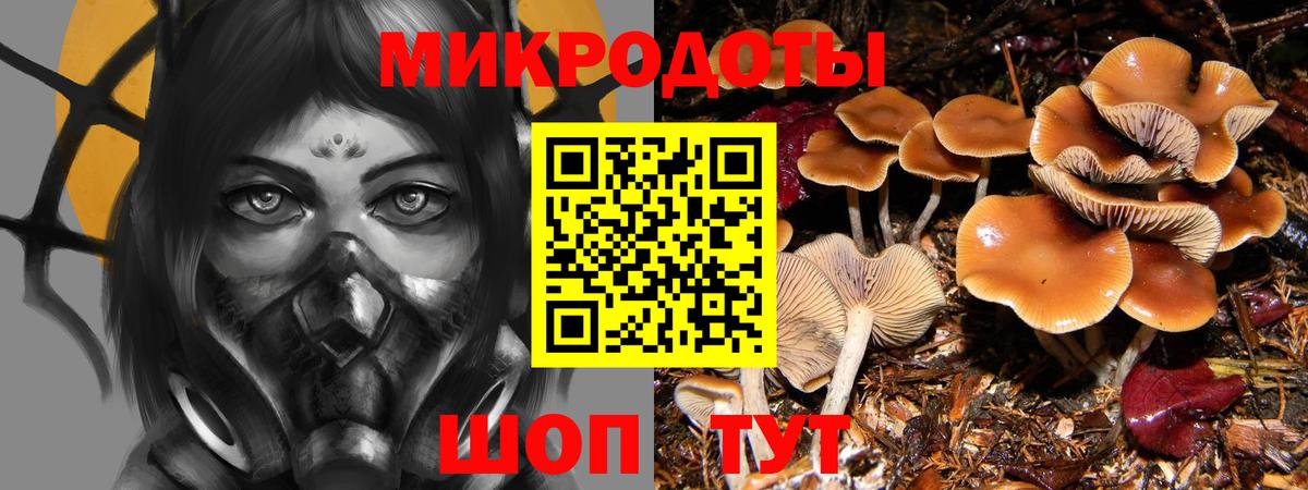 Ялта  Галлюциногенные грибы Cubensis  Вход с VPN 